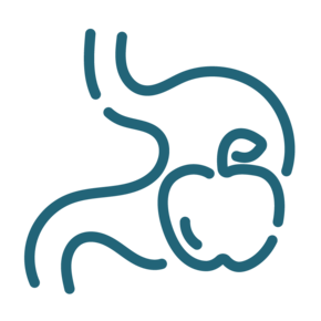 Icon Modifiziertes Fasten