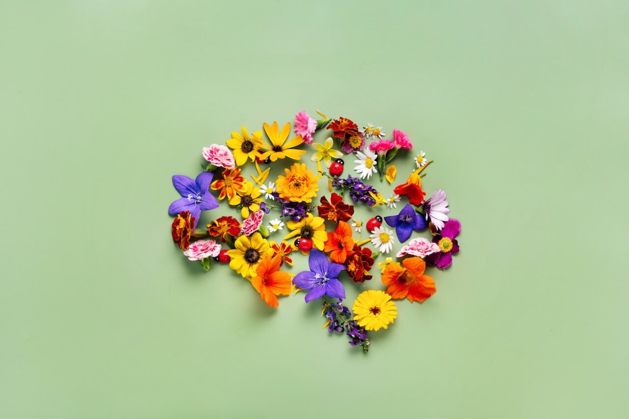 Foto zeigt Menschliches Gehirn aus Blumen